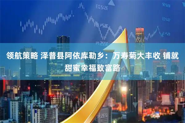 领航策略 泽普县阿依库勒乡：万寿菊大丰收 铺就甜蜜幸福致富路