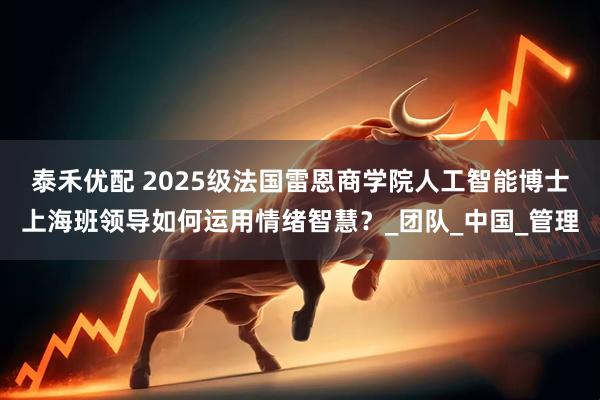泰禾优配 2025级法国雷恩商学院人工智能博士上海班领导如何运用情绪智慧？_团队_中国_管理