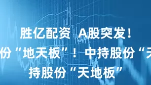 胜亿配资  A股突发！神开股份“地天板”！中持股份“天地板”